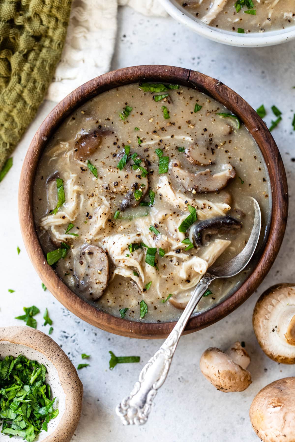 Chicken and Mushroom Soup