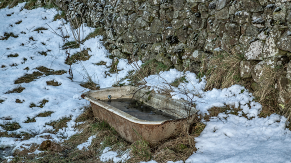 ice baths and weight loss