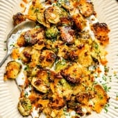 spicy roasted brussels sprouts with parmesan cheese on a platter of yogurt sauce