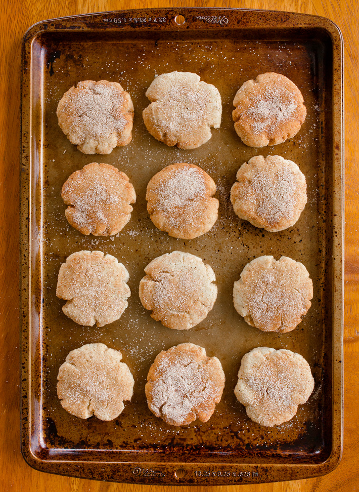 Flourless Snickerdoodle Cookies