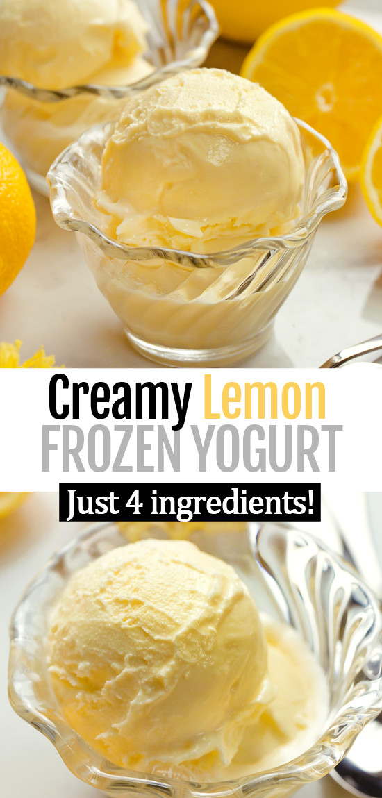 Homemade Lemon Froyo Recipe (Vegan, Egg Free, Dairy Free)